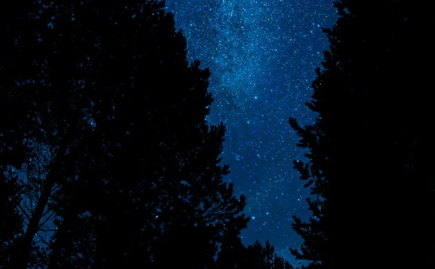 Томичи смогут увидеть яркий звездопад Геминиды ночью 13 декабря