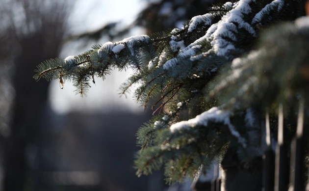 Циклон принесет в Томск в конце января потепление до минус 5 градусов