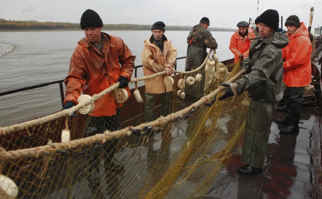 Томичи готовы в 2026г выловить рекомендуемый объем рыбы, но нет спроса