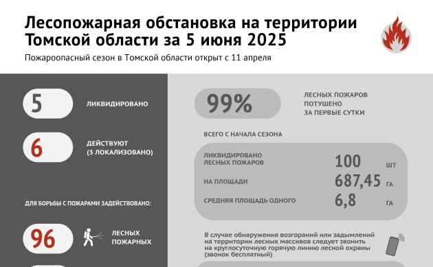 Лесные пожары: оперативная обстановка в Томской области 5 июня