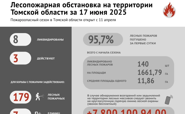Лесные пожары: оперативная обстановка в Томской области 17 июня