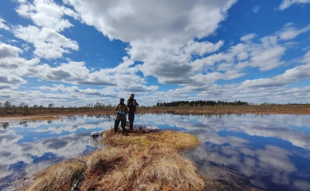 Внутриболотные озера удивили ученых ТГУ малыми выбросами CO₂