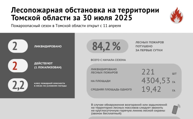 Лесные пожары: оперативная обстановка в Томской области 30 июля