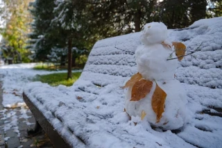 С днем первых снеговиков: репетиция зимы в Томске в октябре. Фото