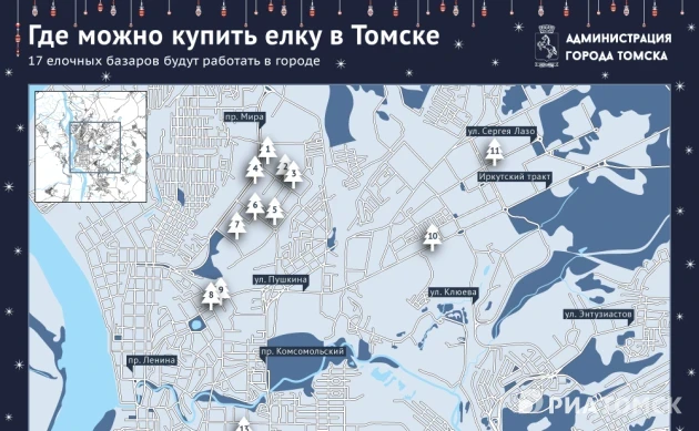 Не ходим без толку – берем елку: адреса базаров с деревцами в Томске
