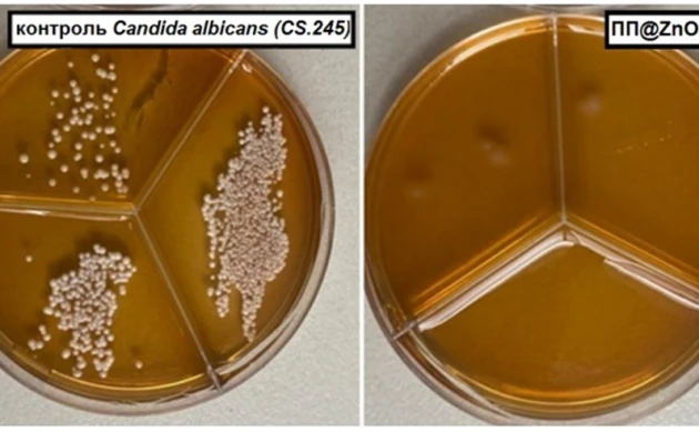 Томские ученые создали пленку для продолжительного хранения еды