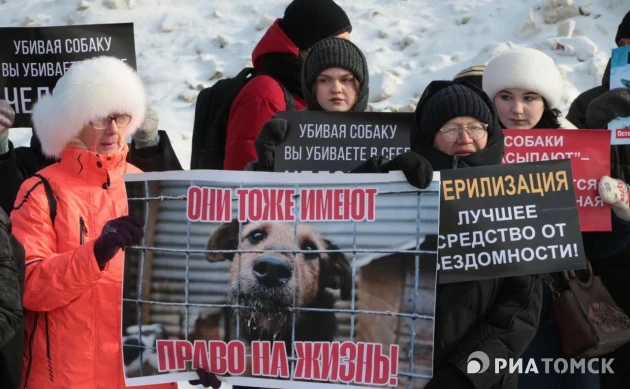 Томичи вышли на пикет против массовых отравлений собак в регионе